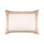 Apollon Sham-1089518370-1089518371
