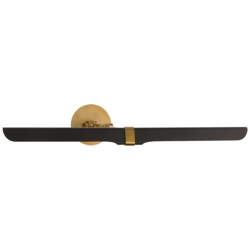 Issa Dimmable LED Wall Mounted Picture Light, Hand Rubbed Antique Brass/Black