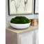 5" Artificial Moss Plant in Planter-729850858