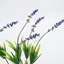 40cm Faux Flowering Branch