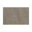 Area Rug in Beige