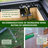 Greenhouse Multiple Sizes-72116829-87937475