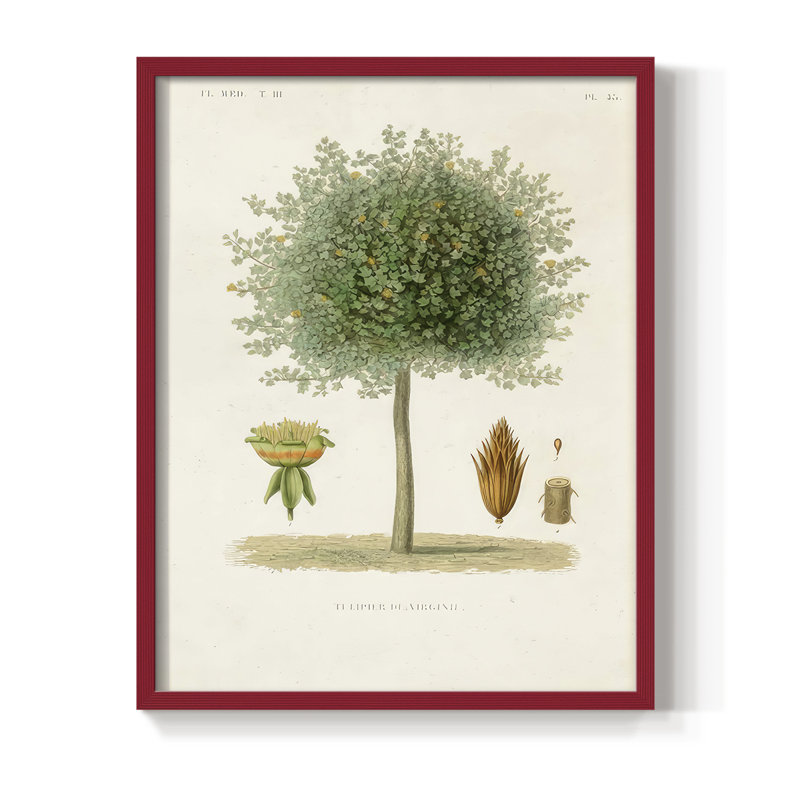 Arbre antique avec fruit X, reproduction encadrée - bois massif, H 11 po x l 9 po, Rouge