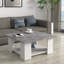 Downer Four Leg Coffee Table with Storage-1145576378