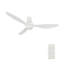 Ventilateur de plafond Zephyr avec télécommande, ensemble d'éclairage inclus.-1859789387-1859789385