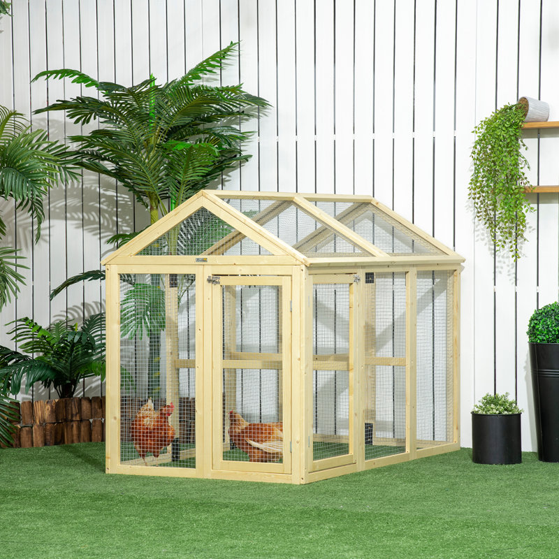 Chicken Cage