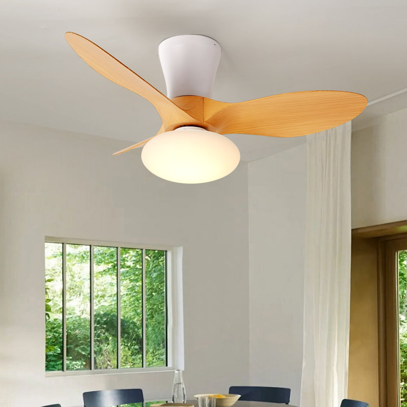 Benioff Ceiling Fan with LED Lights