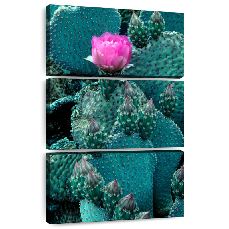 Beaver Tail Cactus, 45" H x 28" W