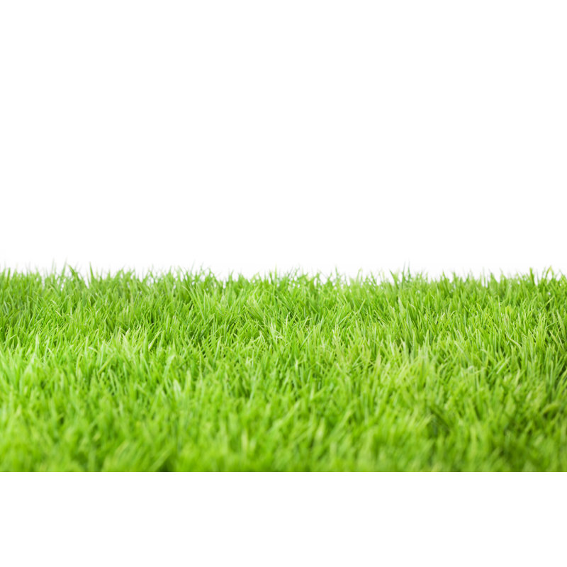 Green Grass by Ollo - No Frame Art Prints on Canvas, 61cm H x 91cm W