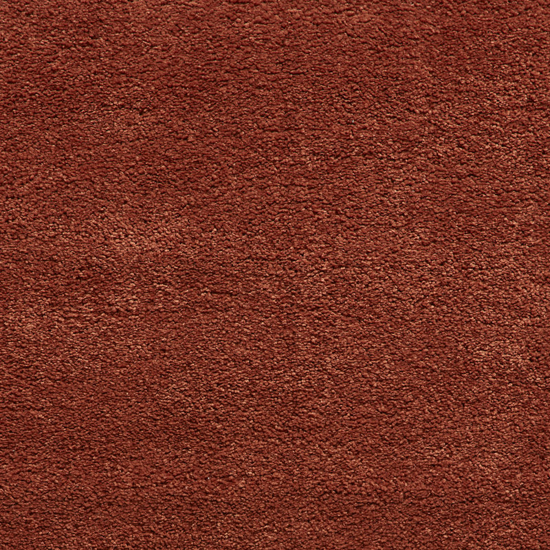 Porretto area rug Machine Woven Rectangle, Rectangle 160 x 230cm
