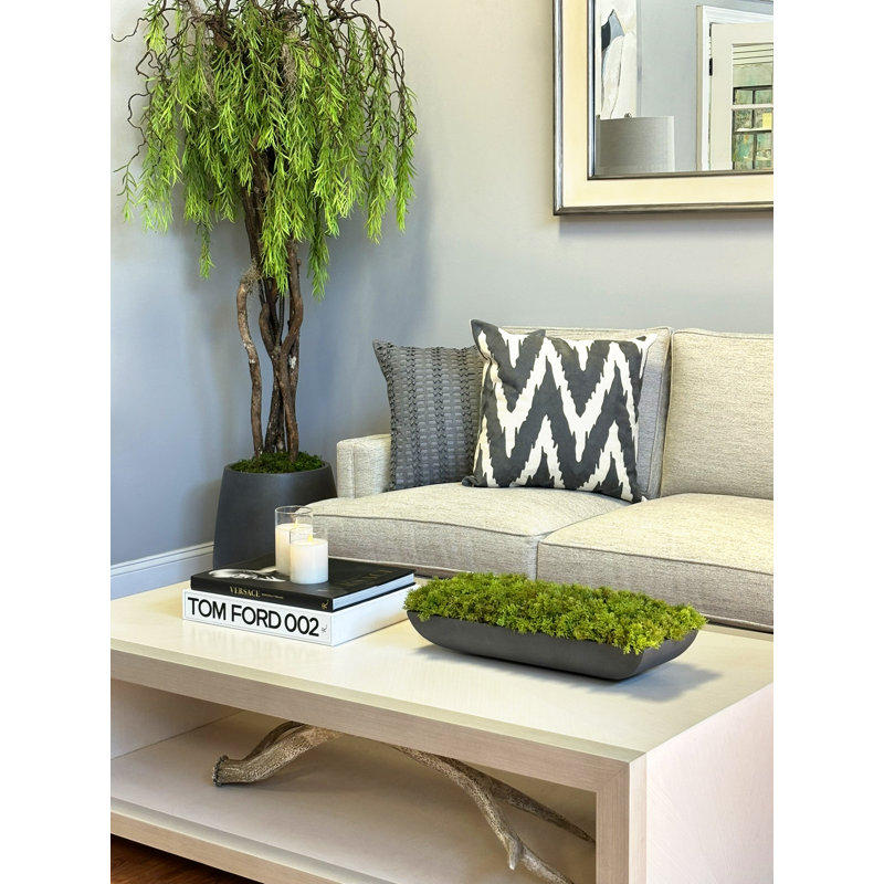 Moss 6" Artificial in Fiberstone Planter, Gray, 6"H x 22"W x 7"D