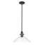 Luminaire suspendu conique 1 lumière Buzbee-2040123307