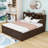 King Platform Bed with USB-Equipped Storage Headboard and 2 Drawers-1087404186