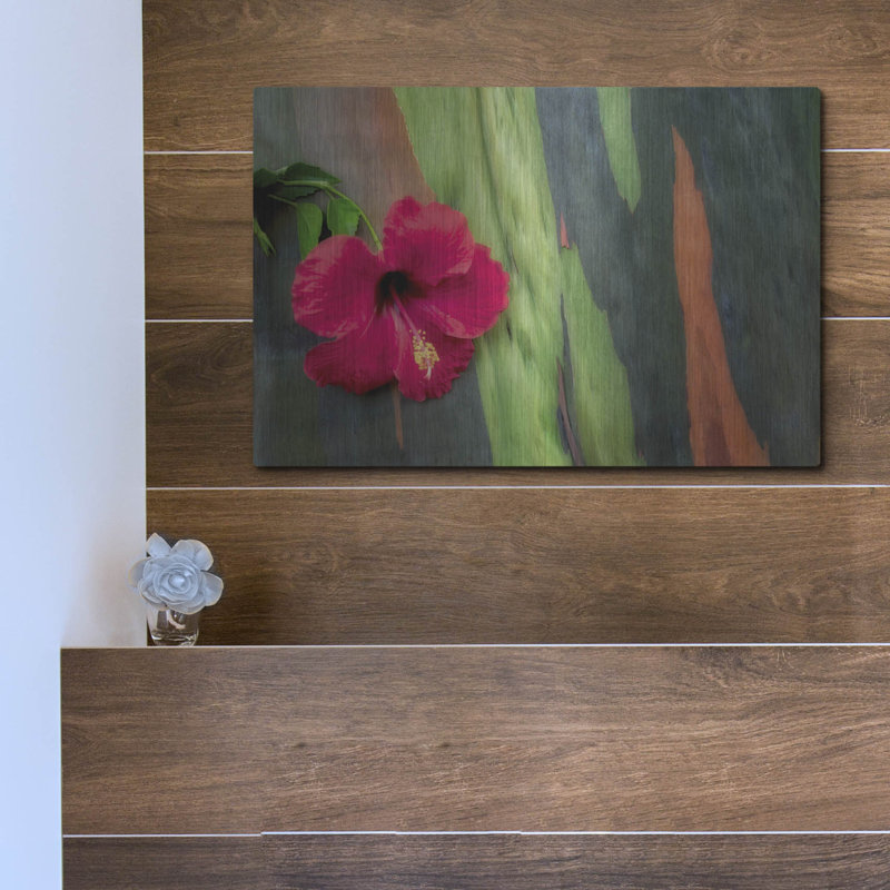 «Hibiscus» par Dennis Frates, H 12 po x l 16 po