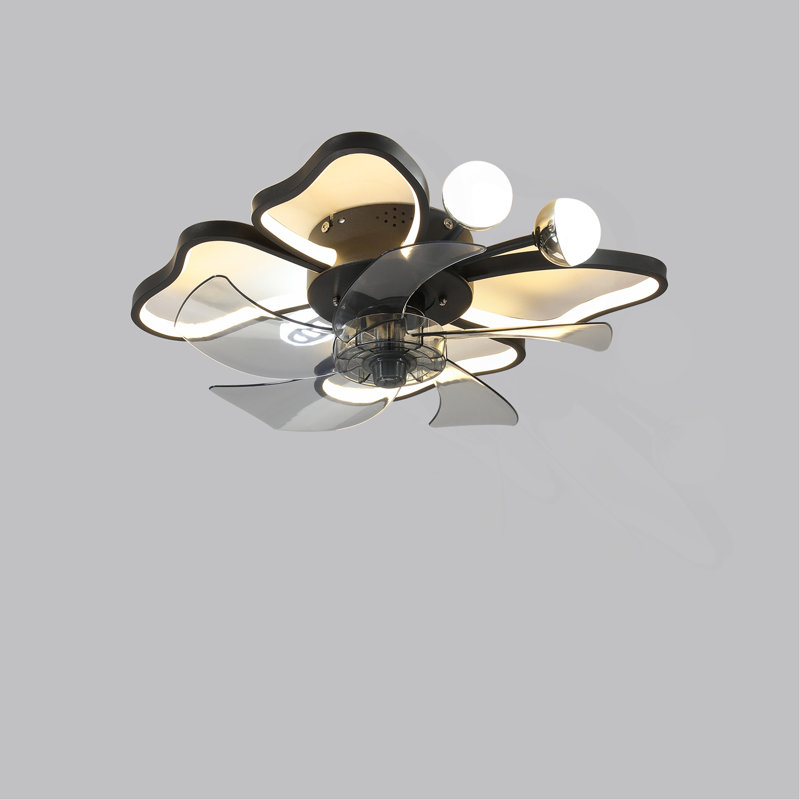 Ventilateur de plafond 19,7 pouces avec lumières avec télécommande de style papillon moderne, noir, ventilateur pour chambre à coucher, salon, minuterie, silencieux, préféré des enfants
