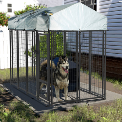 Enclos pour chien en acier