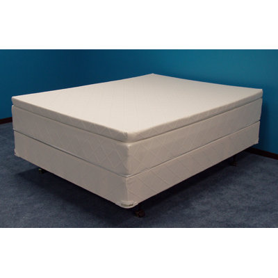 Matelas de lit à jet d'eau sans rebord de 14 po Winster