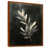 Brown Floater Framed