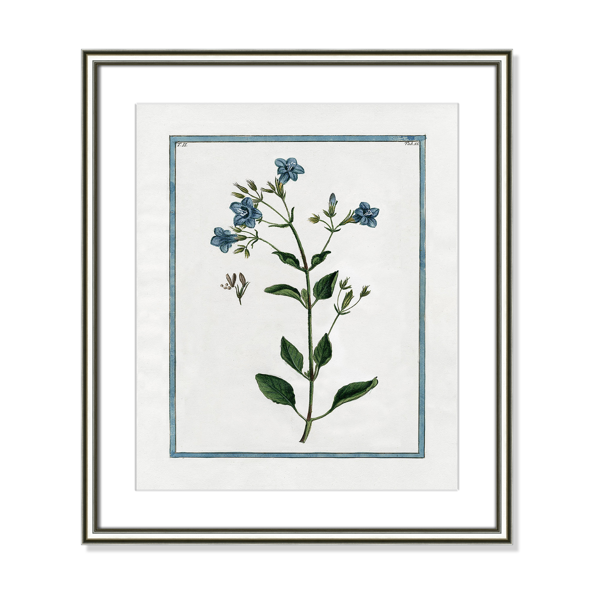 Shabby Elegance Botanical II - Framed Art, Silver Framed, 17.25" W x 20.25" H