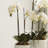 Evan Faux Orchid Drop-in-16217370