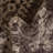 Vern Oriental Area Rug-1851141799-1851141819