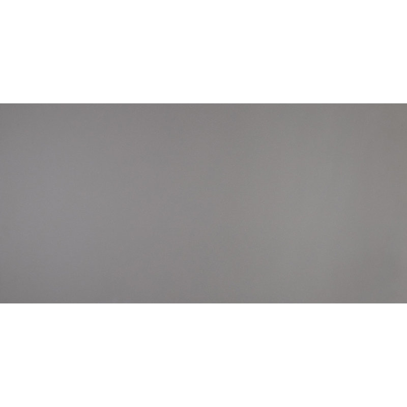 Carreau de porcelaine 24 po x 48 po Aledo, Gris tendance