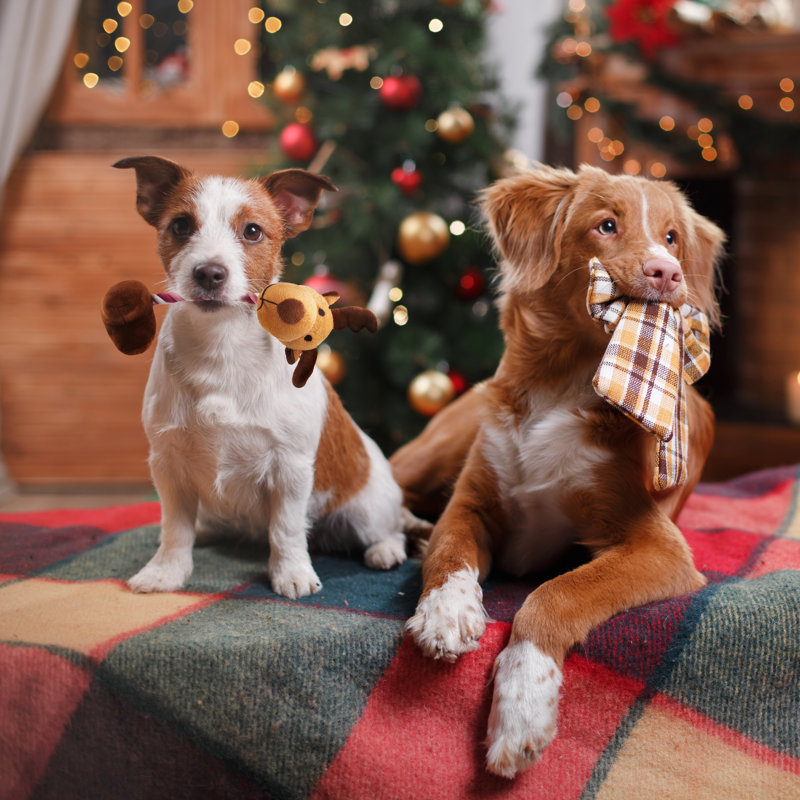 Glen Christmas Decorative Accent