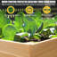 Lit de jardin surélevé extérieur en bois Eckmark-323099688