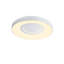 Flush Mount