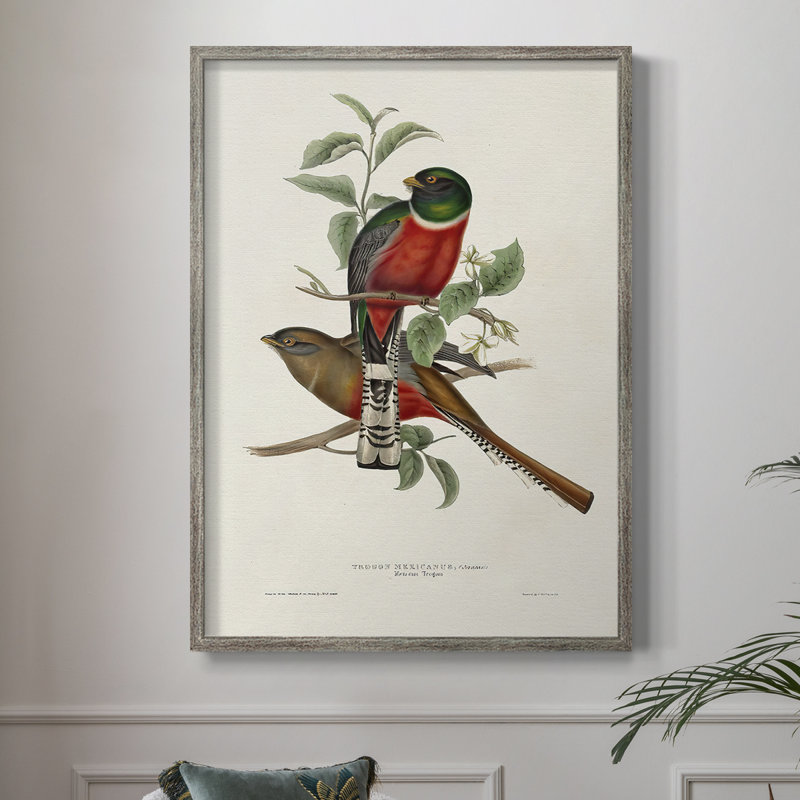 ElegantTrogonsI Framed Print - Solid Wood, 21" H x 17" W