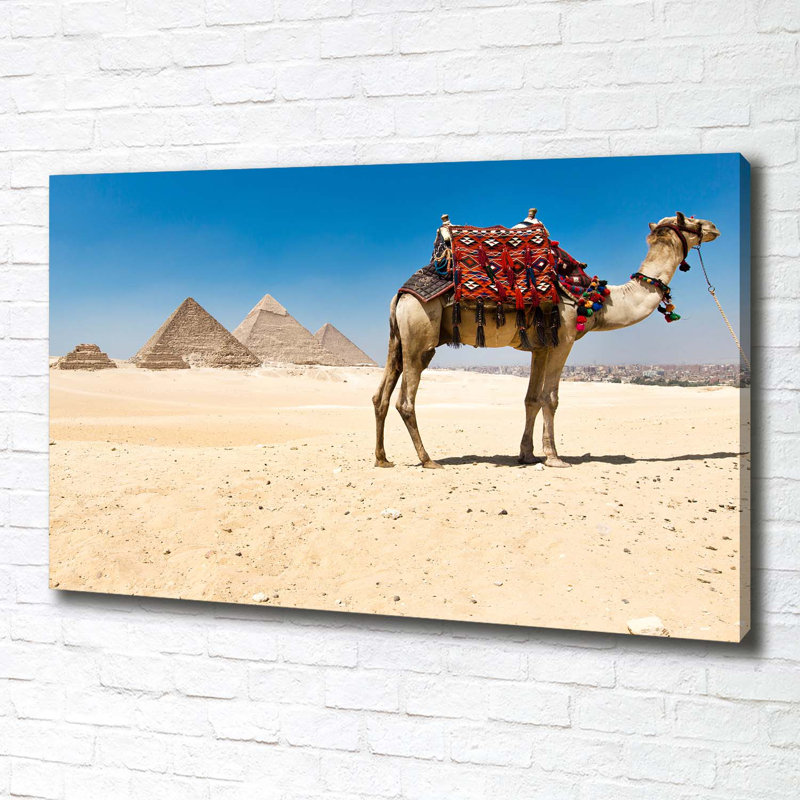 Camel In Cairo - Wrapped Canvas Print