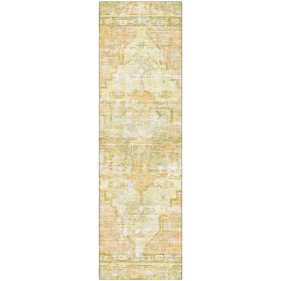 Premium Machine Washable Lucchesi AMF1729 Global Rug