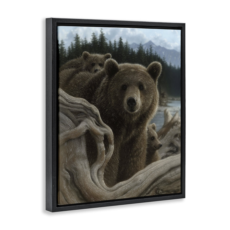 Cadre flottant à dos d'ours mère, design par Collin Bogle, Cadre flottant noir de jais, H 21 po x l 17 po