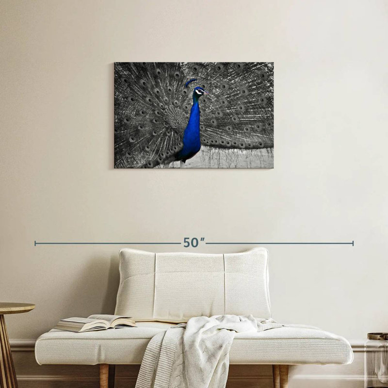 Brampt Peacock Pop, 20" H x 30" W