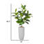68.3'' Artificial Rubber Tree In A Tall Beige Fiberstone Planter