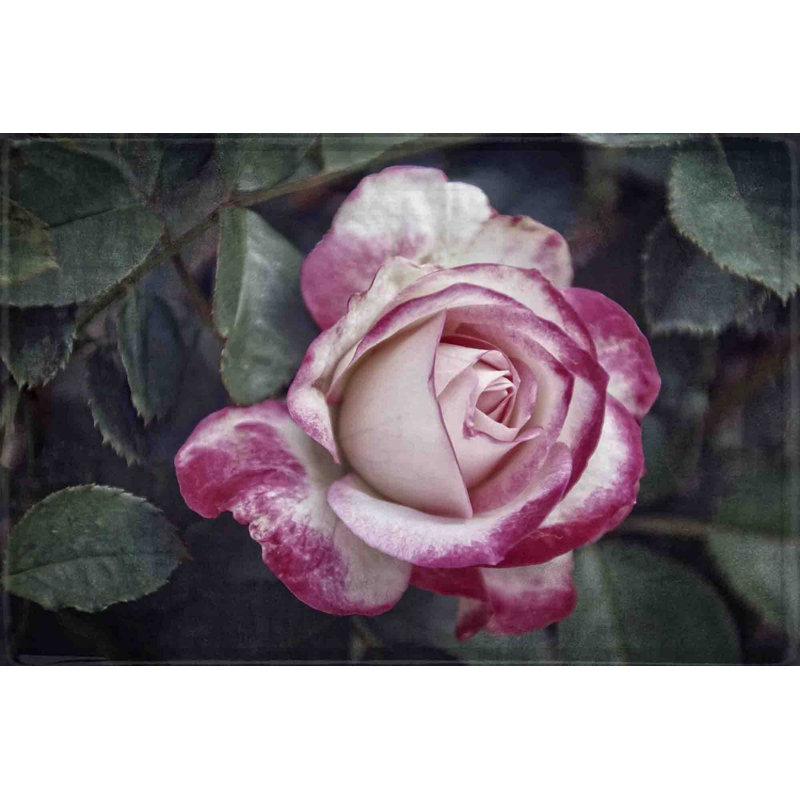 Vintage and Variagated 1 Piece Wrapped Canvas Wall Art, 30cm H x 46cm W x 4cm D