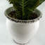 40cm Faux Plant in Ceramic Pot