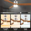Amontay 52'' Ceiling Fan with LED Lights