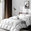 Esbjerg Duck All Season Down Comforter-1817523194