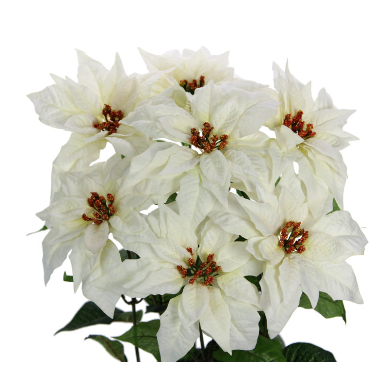 7 tiges de poinsettia artificielles velours, Crème