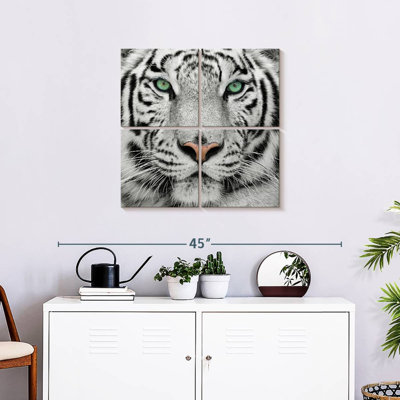 Tigre blanc aux yeux verts Brampt