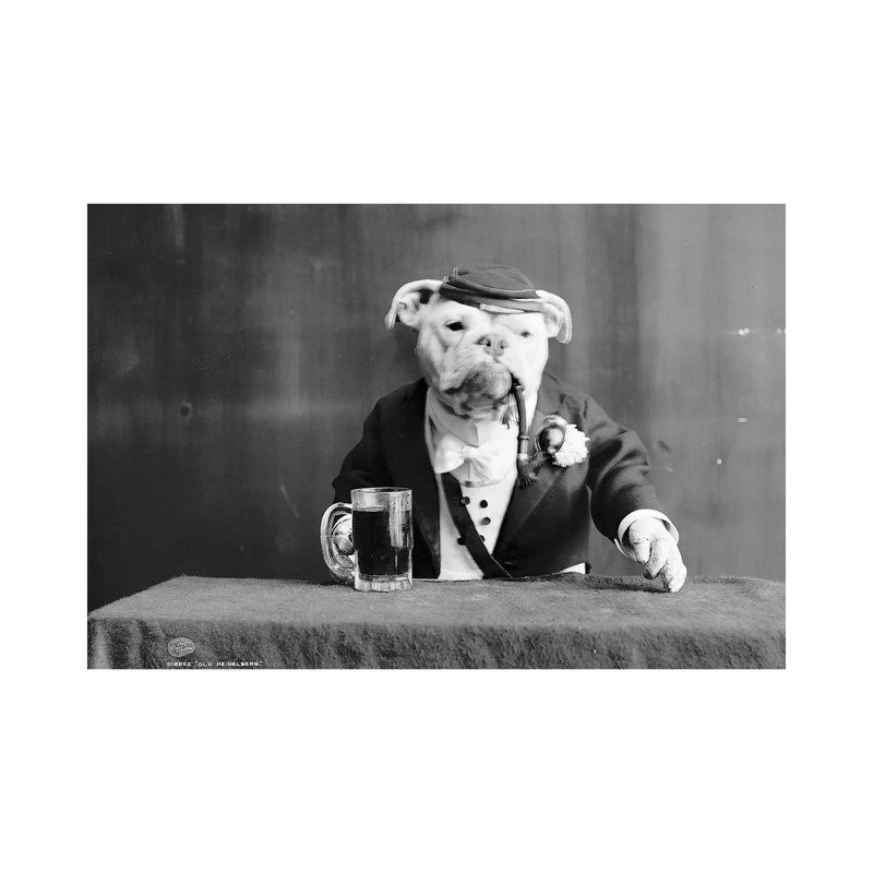 Bulldog, C1905 - Wrapped Canvas Print, 20.32 cm H x 30.48 cm W