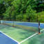 Pickleball avec étui de transport VEVOR