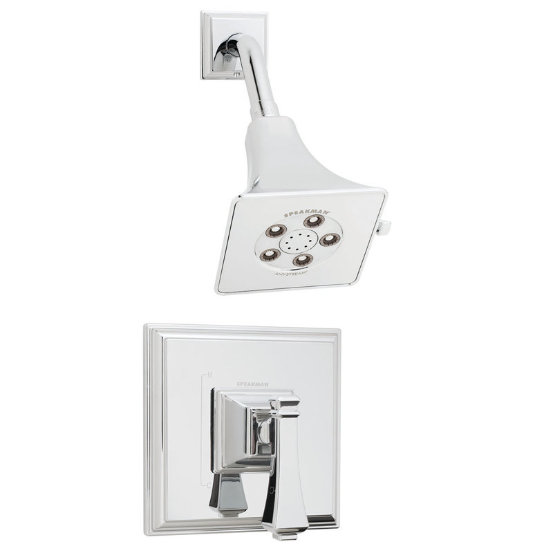 Rainier Thermostatic and Pressure-Balanced Shower Faucet