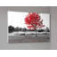 No Frame Print on Metal-1945116114-1945116118