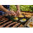 Blackstone Original 44" 5 Burner Outdoor Griddle
