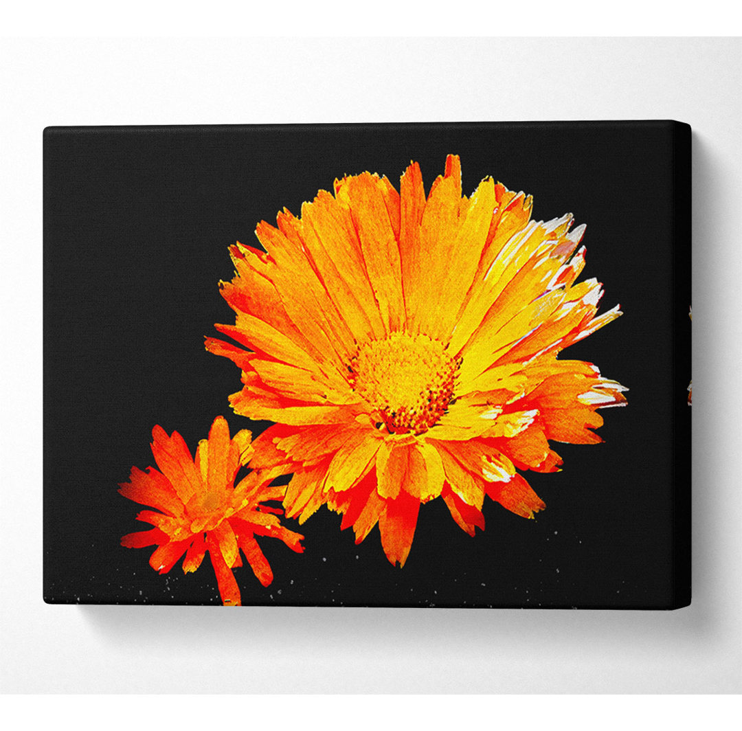 Vibrant Orange Gerberas - Kunstdrucke auf Leinwand