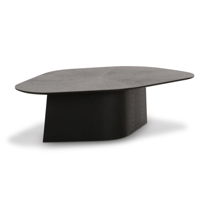 Colbe Ash Geometric Coffee Table, Black