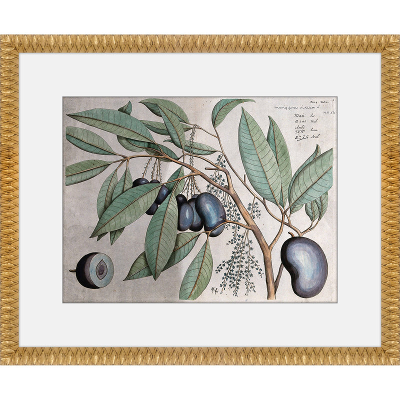 Martha Stewart Bedford, art mural en papier, «Orchard Botanical: Plum Branch», 17,75 po x 21,75 po, décor de salon et de chambre à coucher, encadré