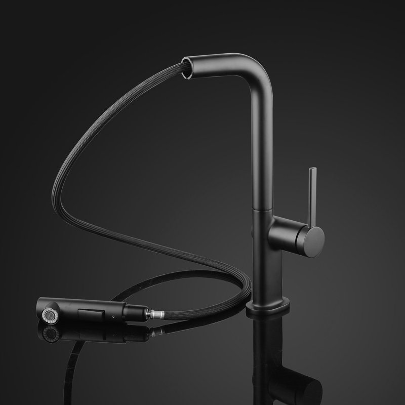 Destro Pull Out Single Handle Kitchen Faucet, Black